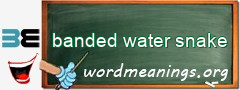 WordMeaning blackboard for banded water snake